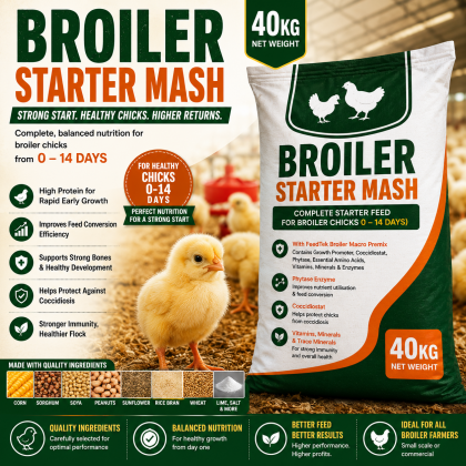 broiler starter mash