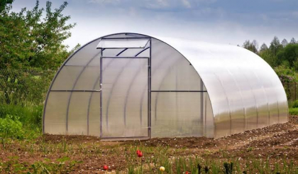 Greenhouse