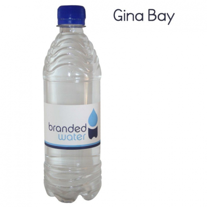 Branded bottled water 500ml