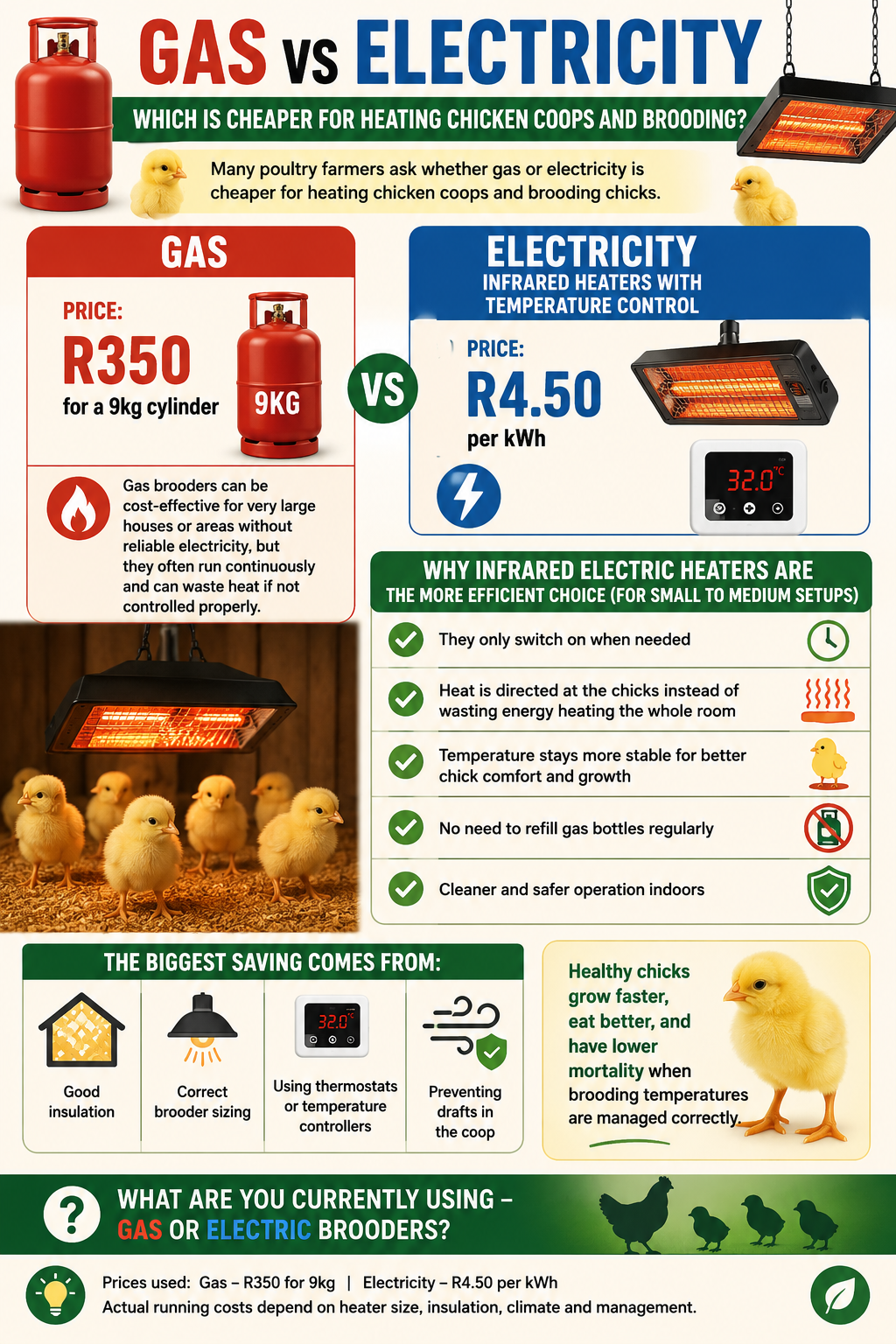 🔥 GAS vs ELECTRICITY – Which is Cheaper for Brooding Chickens? 🐥
