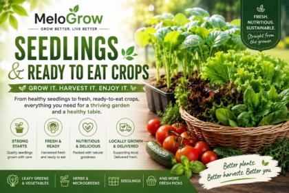 Seedlings and ready to eat crops
