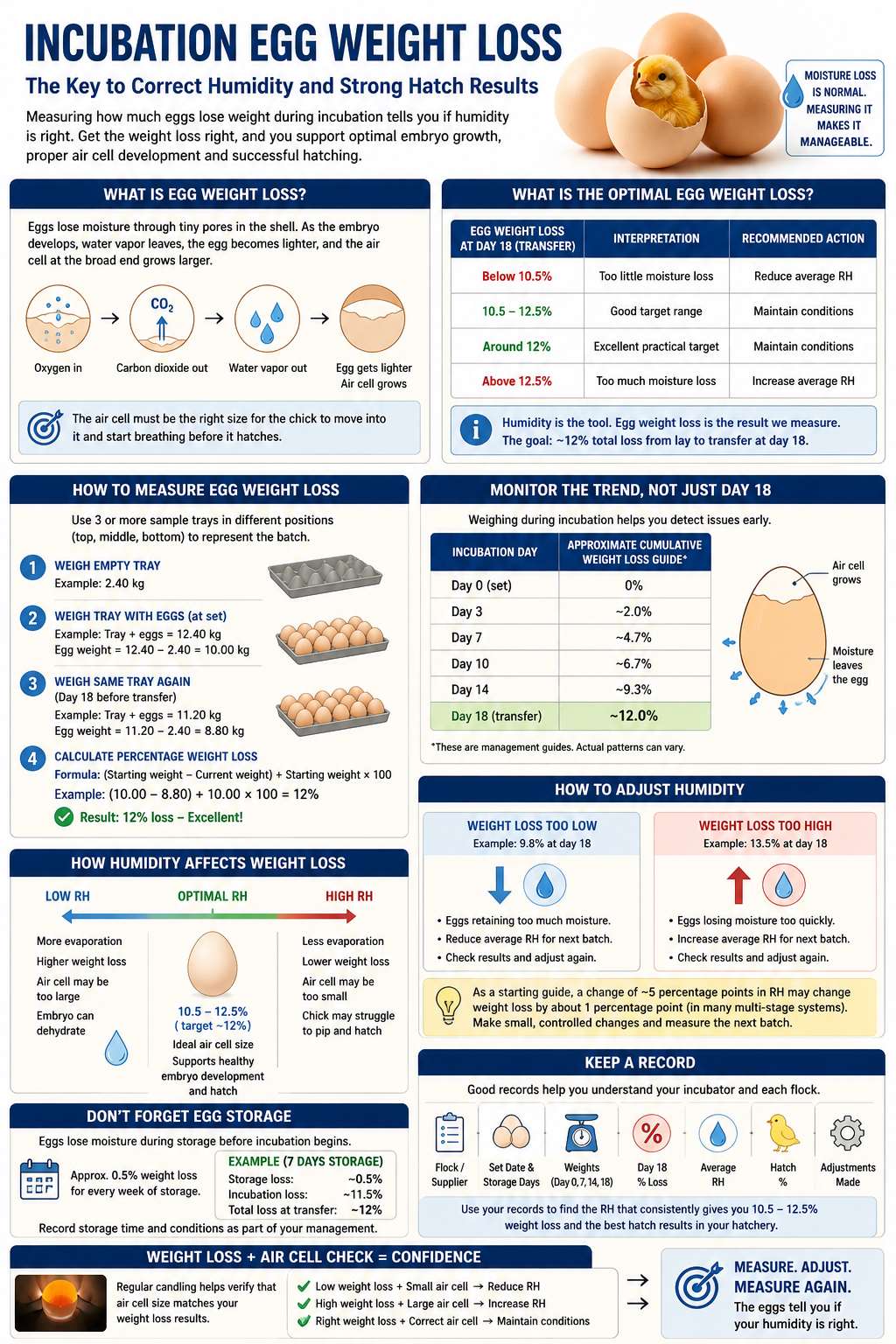 Incubation Egg Weight Loss: A Practical Guide to Managing Humidity and Improving Hatch Results